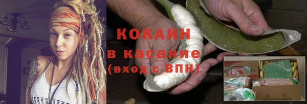 шишки Алексеевка