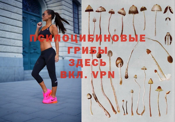шишки Алексеевка