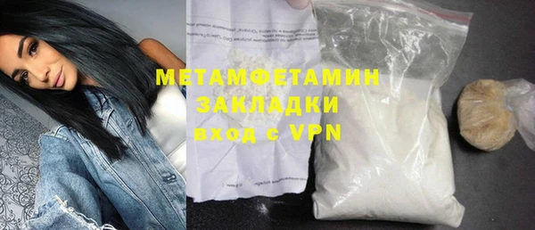 прущие грибы Гусев