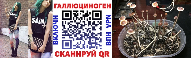 Галлюциногенные грибы Cubensis  Зеленоградск 